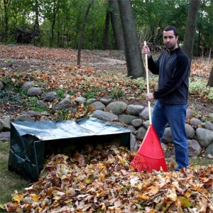 raking_leaves