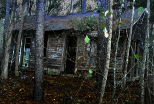 Screen shot 2014-08-12 at 3.02.58 PM