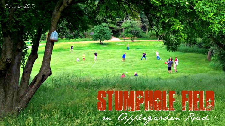 Stumphole Field