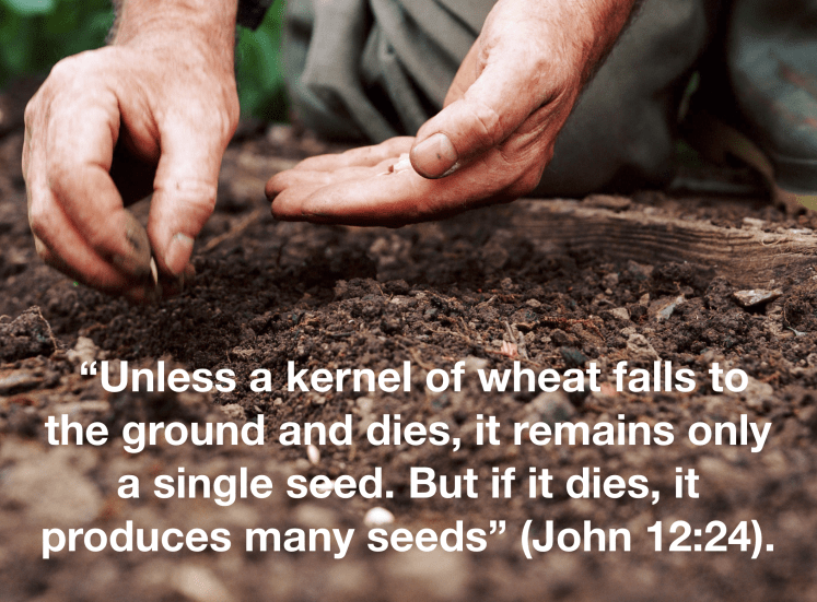 Screen Shot 2019-04-22 at 12.13.07 PM