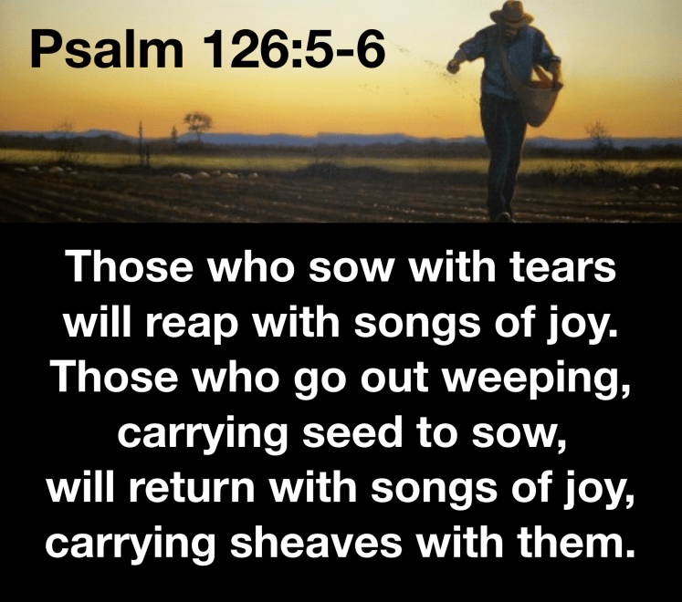 Screen Shot 2019-04-22 at 12.13.19 PM