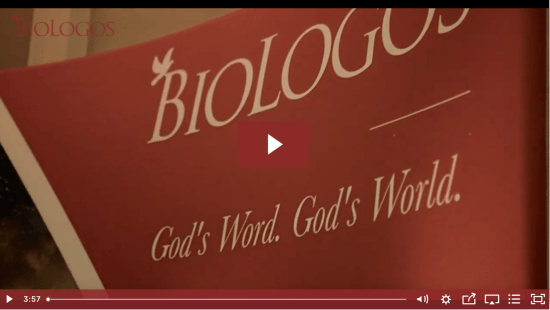 Screen Shot 2021-02-24 at 11.25.49 PM