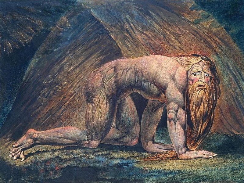 Planet of the Apes &&nbsp;Politicians